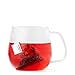 Teavana Youthberry Full Leaf Tea Sachets