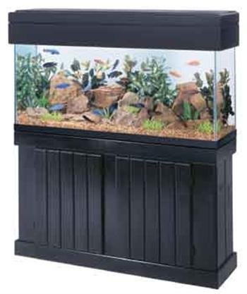 All Glass Aquarium AAG54210 Pine Canopy , 48-Inch