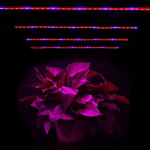 Top 10 Best Red and Blue LED Lights for Plant Growing Reviews 20192020