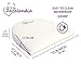 Zazalandia Bassinet Wedge | Pregnancy Pillow | 12-degree Incline | Waterproof Layer & Handcrafted Cotton Removable Cover | Reflux Reducer and Nasal Congestion Reducer | Third Printed Cover with Owls