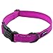 Max and Neo NEO Nylon Buckle Reflective Dog Collar - We Donate a Collar to a Dog Rescue for Every Collar Sold (Small, Pink)