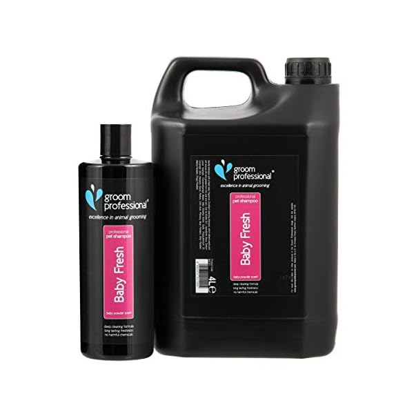 GROOM PROFESSIONAL Baby Fresh Dog Shampoo, Excellence in Animal Grooming, Gentle Scented Dog Shampoo, Perfect for Young…