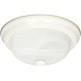 Nuvo Lighting 60/223 Three Light Flush Mount