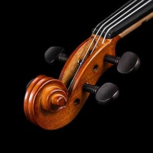 Winzz-Violine-Voller-Gre-44-Ausstattung-Massivholz-Schler-Erwachsene-Anfnger-Violinenset-Braun