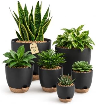Pot de Plantes d'Intérieur avec Drainage 6 Pcs Pots en Plastique Auto-irrigants 12.7cm/14cm/15.2cm/16.5cm/17.8cm/20.3cm pour Plantes d'Intérieur, Fleurs, Cactus