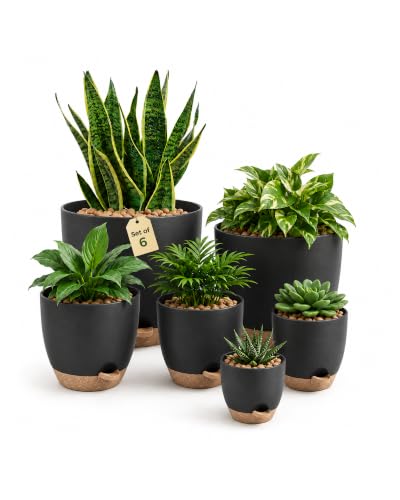 Pot de Plantes d'Intérieur avec Drainage 6 Pcs Pots en Plastique Auto-irrigants 12.7cm/14cm/15.2cm/16.5cm/17.8cm/20.3cm pour Plantes d'Intérieur, Fleurs, Cactus