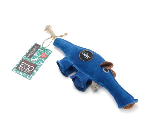 Dino the Dyno Fish, Eco Toy