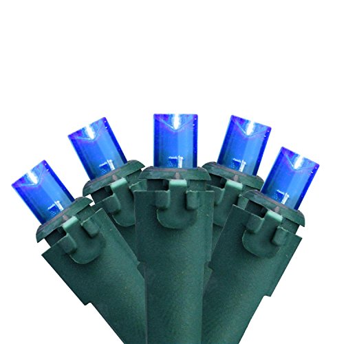 Brite Star 50 Lt Micro Mini LED Lights, Blue, Green Wire