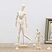 Wooden Figure Drawing Mannequin Model - Wood Human Art Manikin Posable for Artist Sketching Posing Doll 12'' inch Female