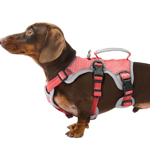 Huntboo Escape Proof Dog Harness Dachshund Harness
