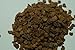 Datura Metel Devils Trumpet 100 Seeds