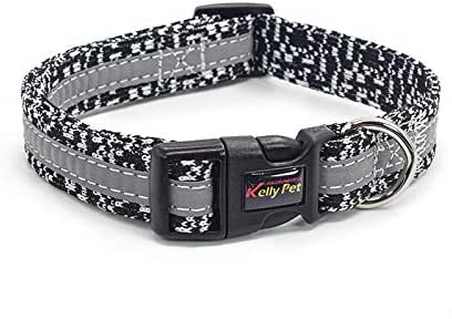fun dog collars and leashes