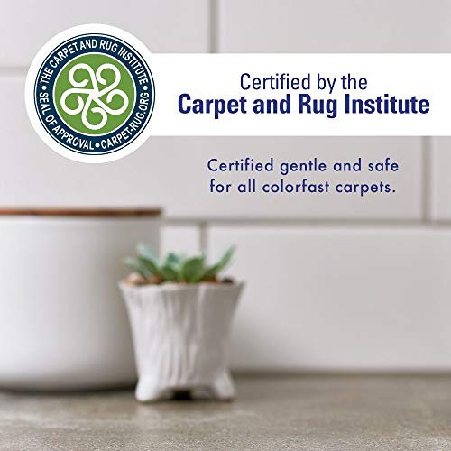 Rocco & Roxie Stain & Odor Eliminator for Strong Odor EnzymePowered