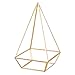 HOMEIDEAS Modern Terrarium Clear Glass Pyramid Tabletop Geometric Polyhedron Box,Decorative Succulent Plants Holder(Golden)