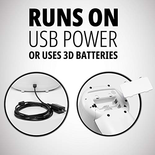 Pawple Automatic Pet Feeder Food Dispenser for Cats, Dogs, Small