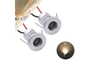 Quentacy DC12V 1W Mini LED Spotlight Jewelry Indoor Display Showcase Counter Ceiling Recessed Light RV Micro Reading Lighting Warm White 3000K 2Pack