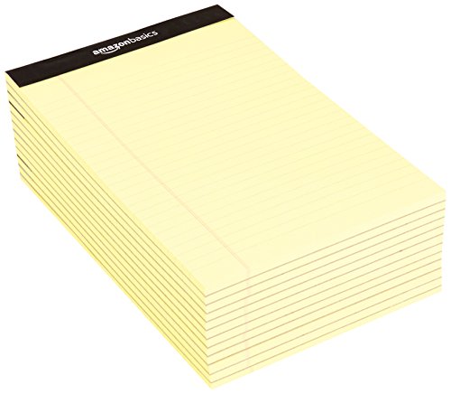 5 AmazonBasics+Narrow+Ruled+8+Inch+Writing
