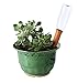 Wonderliy Plant Watering Spikes 4 Pieces 7 in Water Plants with This Great House Plant Watering System Perfect as a Plant Waterer and Amazing for Vacation Plant Waterin
