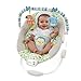 Comfort & Harmony Cradling Bouncer, Merry Monkeys