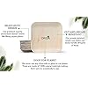 ORGA-ECO-FRIENDLY-PRODUCTS-Palmware-leaf-tableware-I-25-pieces-Palm-Plate-rectangular-25-x-25-cm-I-Bio-Disposable-Crockery-Biodegradable-Party-tableware-disposable-tableware-10-inch-No-of-25-Plates ORGA ECO-FRIENDLY Products Palmware Leaf Tableware I 25 Pieces Palm Plates Rectangular 25 x 25 cm I Bio Disposable…