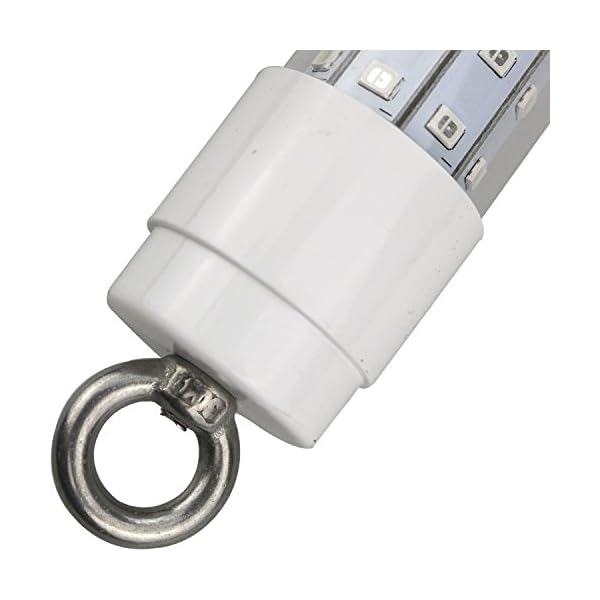 Lightingsky-12V24V-900-Lumens-Led-Submersible-Fishing-Light-Deep-Drop-Underwater-Lamp-with-17ft-cord-for-Boat-Fishing
