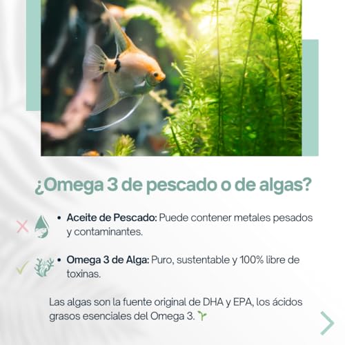 120 cápsulas Omega-3 de Alga Plantceutics - 560 mg Omega-3 MUY ALTA en DHA - Aceite de alga certificado - 100% Vegano - Envase 100% biodegradables