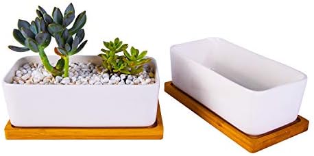 6.5 inch Ceramic Rectangle Succulent Planter with Bamboo Saucer Tray, Set of 2, White Modern Indoor Cactus/Flower Plant Pot with Drainage, Decoration for Desks/Bookshelves / Window Sills (A)