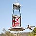 More Birds Jersey Hummingbird Feeder, Glass Milk Bottle Hummingbird Feeder for Outdoors, 5 Feeding Stations, 18 Ounces