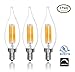(3 Pack) 6-Watt, LED Filament Candelabra Light Bulbs, 6-Watt, (60-Watt Incandescent Replacement) Flame Tip, Warm White 2700K, 550 Lumens, E12 Candelabra Base, Dimmable, UL-Listed