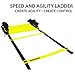Agility Ladder Ideal Workout Ladder Training Ladder With Ladder Drills eBook, – Value Training - Ideal Soccer Training Equipment Ideal Football Training Equipment By Endurance Pro