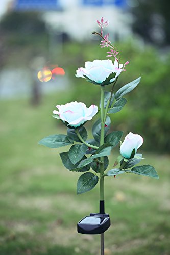 XLUX Outdoor Solar Powered Rose Lights Flower Stake, for Garden Patio Yard Christmas Pathway Decoration, Mint Green with red Edge
