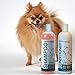 Paws & Pals Natural Oatmeal Dog Shampoo and Conditioner Combo, 2-in-1 Best for Cats & Dogs Dry Itchy Skin - Made in USA w/Medicated Clinical Vet Formula - Anti Itch Moisturizing Pet Soap for Sensitive