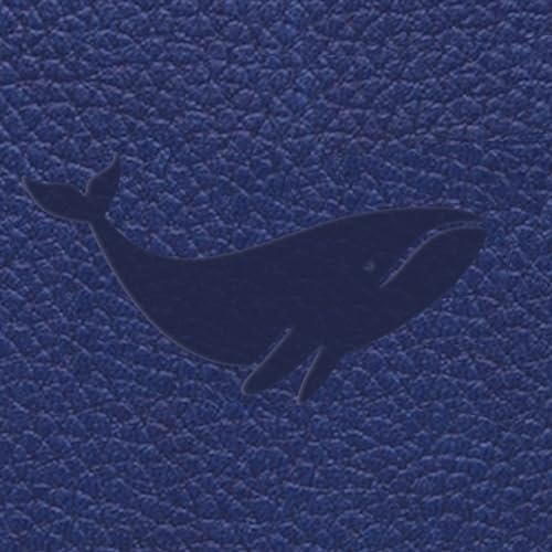 Blue Whale