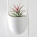 Mkono Ceramic Hanging Planter 3 Tier Indoor Wall Plant Holder