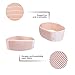 F.A.D. Maternity Belt, Belly Support Band for Pregnancy, Pregnancy Belt, Color Nude (Beige)