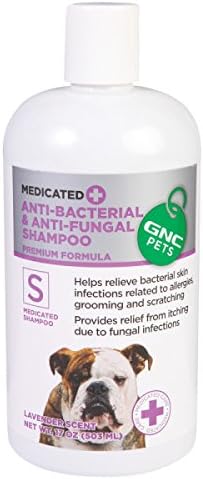 gnc anti bacterial anti fungal shampoo