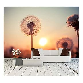 Real Field and Dandelion at Summer Sunset - Removable Wall Mural | Self-Adhesive Large Wallpaper - 66x96 inches