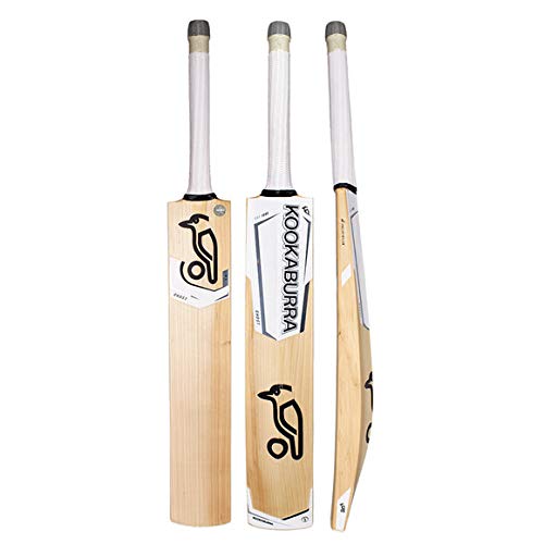 KOOKABURRA English Willow Premium Cricket bat ' Men's Size, Short