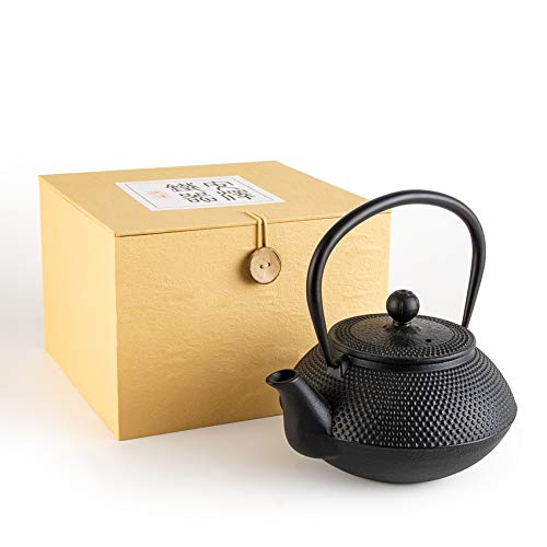SUSTEAS Tetsubin Cast Iron Teapot with Stainless Steel Infuser Japanese