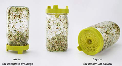 5 Soligt+Easy+Rinse+Drain+Sprouting