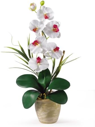 Nearly Natural 1016-Wh Phalaenopsis Silk Orchid Flower Arrangement White