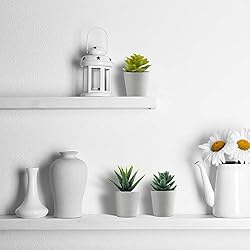Artificial Succulents Set of 3 Mini Realistic Fake