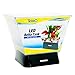 Tetra LED Betta Tank Kit 1 Gallon, Trapezoid aquarium With Base Lighting (24050)