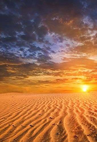 Download Fidgetgear 3x5ft Beach Sunset Photo Backdrop Photography Background Studio Props Amazon In Home Kitchen