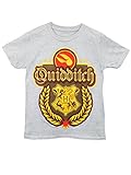 Harry Potter Boys' Harry Potter Quidditch T-Shirt
