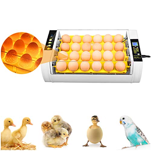 Egg Incubator(24 Eggs), Fully Automatic Digital Poultry Hatching