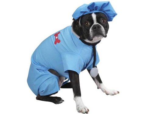 Casual Canine ER Doctor Scrubs Halloween Dog Costume with Matching Cap & Stethoscope X-Small