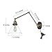 LNC A02244 Plug Lamp Adjustable Clear Glass Swing Arm Lighting Wall Sconces, Black