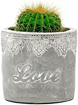 Succulent Planter / Cactus Planter. 3 Inch Gray Cement Flower Pot Container Stamped with 'Love' - by TERRARIUMS FOR SALE