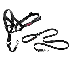 Halti Headcollar and Training Lead Combination